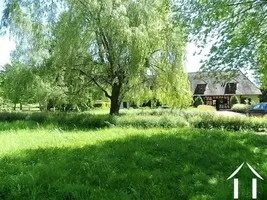 garden with mature trees