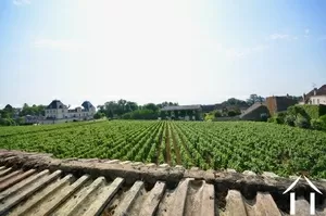 view from the terrace