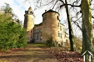 Castle, estate for sale st gengoux le national, burgundy, JP4644S Image - 8