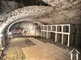 vaulted cellar