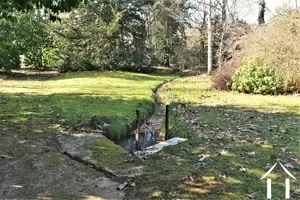 stream feeding the lake