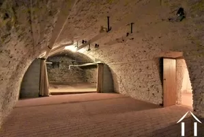 one of many joining vaulted cellars