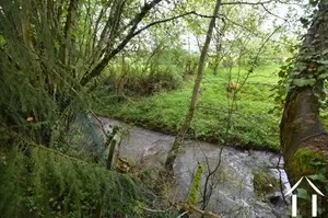 petit rivier au fond de le jardin