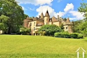 Castle, estate for sale st gengoux le national, burgundy, JP5207S Image - 5