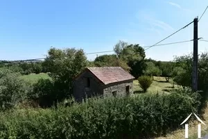 orchard seen from house