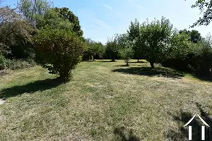 orchard over small lane