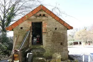 Pigeon shed