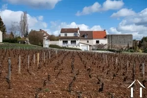 Character house for sale santenay, burgundy, BH5154V Image - 21