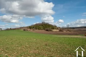 Character house for sale santenay, burgundy, BH5154V Image - 23