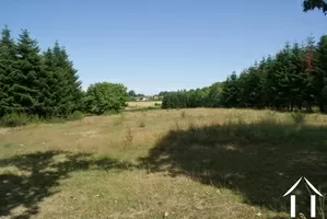 Grazing field