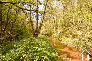 Property 1 hectare ++ for sale neuvic entier, limousin, 777 Image - 37