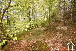 Property 1 hectare ++ for sale neuvic entier, limousin, 777 Image - 39