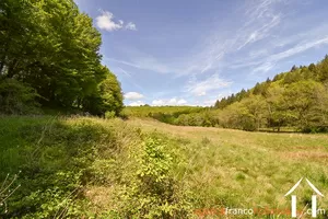 Property 1 hectare ++ for sale neuvic entier, limousin, 777 Image - 40