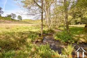 Property 1 hectare ++ for sale neuvic entier, limousin, 777 Image - 38