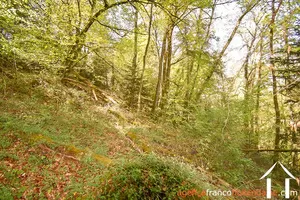 Property 1 hectare ++ for sale neuvic entier, limousin, 777 Image - 36