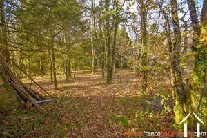 Village house for sale linards, limousin, Li856 Image - 56