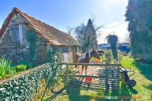 House with guest house for sale la porcherie, limousin, Li977 Image - 39