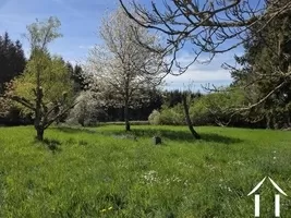 House for sale loddes, auvergne, AP030071088 Image - 10