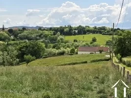 Farmhouse for sale montcombroux les mines, auvergne, AP030071103 Image - 9