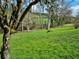 Farmhouse for sale billy, auvergne, AP03007919 Image - 8