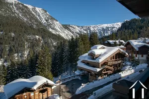 Apartment for sale courchevel, rhone-alpes, C3412-10 Image - 5