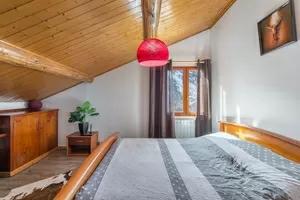 Chalet for sale st martin de belleville, rhone-alpes, C3828 Image - 9