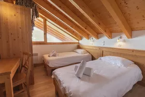 Apartment for sale les menuires, rhone-alpes, C3881 Image - 11