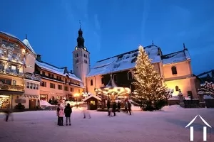 House for sale megeve, rhone-alpes, C4799 Image - 17