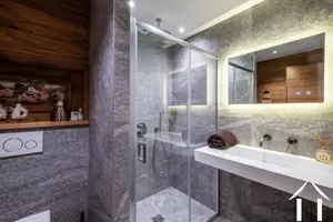 House for sale notre dame de bellecombe, rhone-alpes, C5509 Image - 7