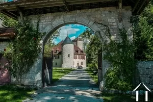 Château for sale maisod, franche-comte, LD103H Image - 1