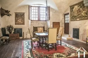 Château for sale maisod, franche-comte, LD103H Image - 5
