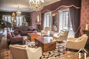 Château for sale maisod, franche-comte, LD103H Image - 8