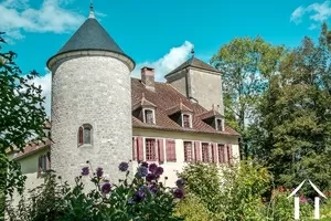 Château for sale maisod, franche-comte, LD103H Image - 3