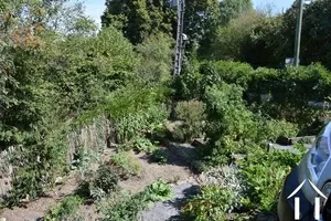 Jardin potager