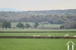 Uitzicht vanuit zitkamer