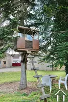 La cabane dans l'arbre