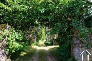 Allée arborée vue de la cour