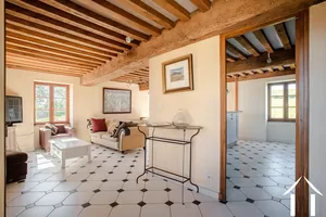 Manor House for sale macon, burgundy, JP5262S Image - 8