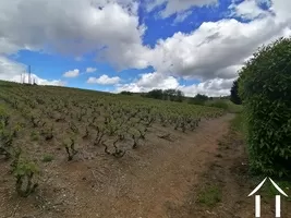 Property 1 hectare ++ for sale macon, burgundy, LE5265S Image - 23