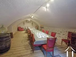 Property 1 hectare ++ for sale macon, burgundy, LE5265S Image - 16