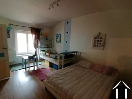 Property 1 hectare ++ for sale macon, burgundy, LE5265S Image - 15