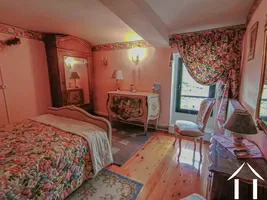 Property 1 hectare ++ for sale macon, burgundy, LE5265S Image - 11