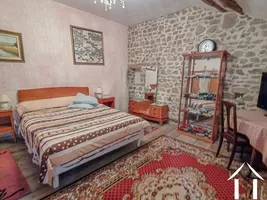 Property 1 hectare ++ for sale macon, burgundy, LE5265S Image - 9