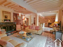 Property 1 hectare ++ for sale macon, burgundy, LE5265S Image - 3