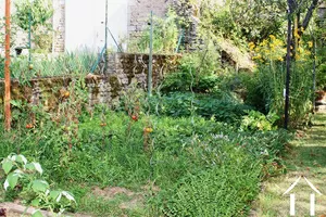 Le jardin potager