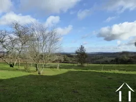 Garden with view