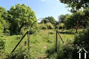 Vegetable garden