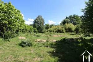 Vegetable garden