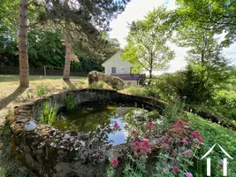 Bassin et poissons rouges