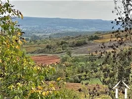 La vue sur le vignoble et, au fond, la vallée